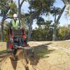 Trencher - Image 2
